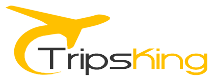 Tripsking